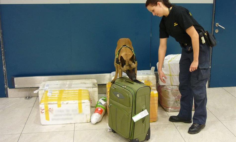 2015-3-12-818boxy foto 1.jpg